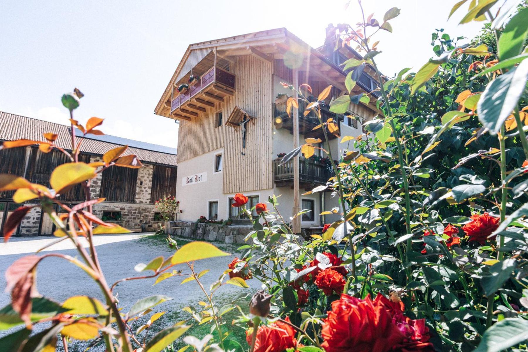 Koflhof Urlaub Auf Dem Bauernhof Villa Aldino Ngoại thất bức ảnh